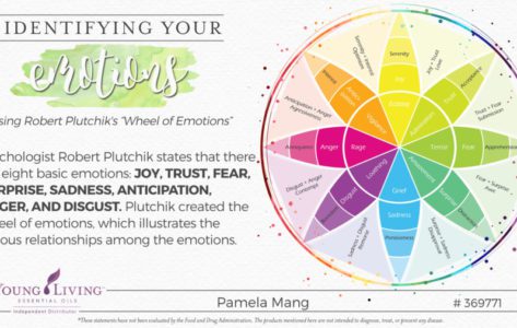 Identify Emotions