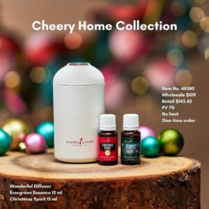 traveling holiday diffuser