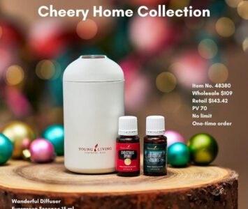 Holiday Diffuser On The Go