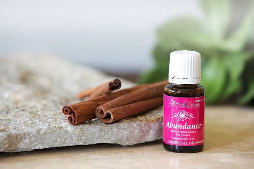 abundance blend stylized